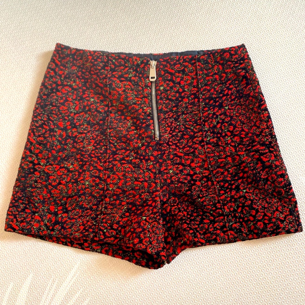 Zara Shorts pants
